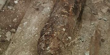 Desactivado un proyectil de la Guerra Civil en Sigüenza