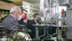 Castilla-La Mancha apuesta por la calidad y lidera ya la producción ecológica en aceite de oliva virgen extra con 76.000 hectáreas de olivar