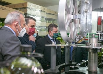 Castilla-La Mancha apuesta por la calidad y lidera ya la producción ecológica en aceite de oliva virgen extra con 76.000 hectáreas de olivar