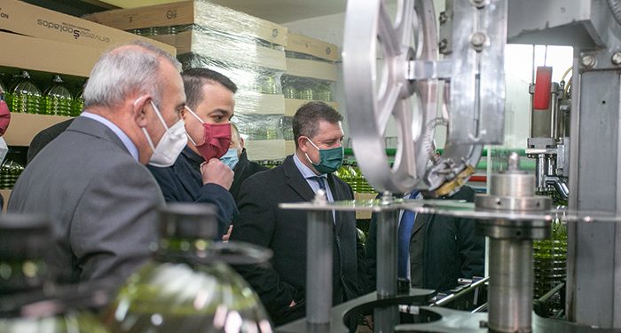 Castilla-La Mancha apuesta por la calidad y lidera ya la producción ecológica en aceite de oliva virgen extra con 76.000 hectáreas de olivar