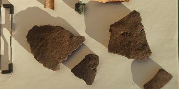 Encuentran cerámica de la Edad del Bronce y construcciones del siglo VIII en el castillo de Huélamo