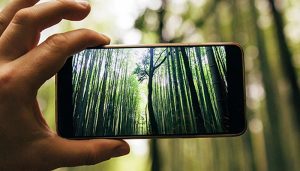 El cierre de las centrales de cobre de Telefónica en la región supone un ahorro energético de 17.500 toneladas de C02, equivalente a plantar trescientos mil árboles