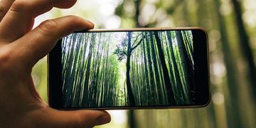 El cierre de las centrales de cobre de Telefónica en la región supone un ahorro energético de 17.500 toneladas de C02, equivalente a plantar trescientos mil árboles