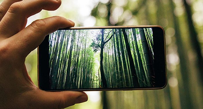 El cierre de las centrales de cobre de Telefónica en la región supone un ahorro energético de 17.500 toneladas de C02, equivalente a plantar trescientos mil árboles 1 El cierre de las centrales de cobre de Telefónica en la región supone un ahorro energético de 17.500 toneladas de C02, equivalente a plantar trescientos mil árboles