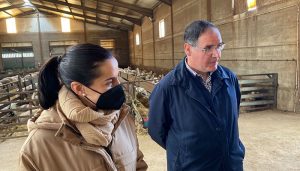 El PP destaca el motor económico que es la ganadería en Cuenca y acusa al Psoe “de permitir y respaldar un nuevo ataque a nuestra provincia y sus municipios”