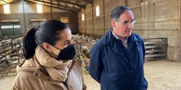El PP destaca el motor económico que es la ganadería en Cuenca y acusa al Psoe “de permitir y respaldar un nuevo ataque a nuestra provincia y sus municipios”
