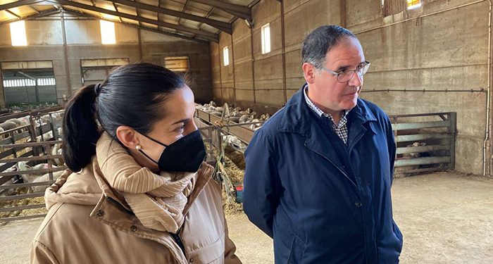 El PP destaca el motor económico que es la ganadería en Cuenca y acusa al Psoe “de permitir y respaldar un nuevo ataque a nuestra provincia y sus municipios”