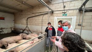 Esteban subraya la defensa del PP “de toda la ganadería, la intensiva y la extensiva, así como la calidad de nuestra carne”