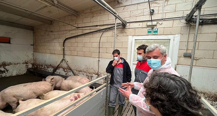Esteban subraya la defensa del PP “de toda la ganadería, la intensiva y la extensiva, así como la calidad de nuestra carne”