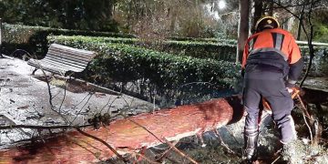 La tormenta deja en Cuenca dos árboles caídos en el parque de Santa Ana y en Mohorte