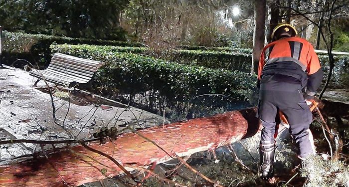 La tormenta deja en Cuenca dos árboles caídos en el parque de Santa Ana y en Mohorte
