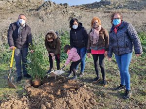 Medio centenar de sanclementinos plantan en el paraje de Rus los abetos entregados por el Ayuntamiento a los establecimientos de San Clemente