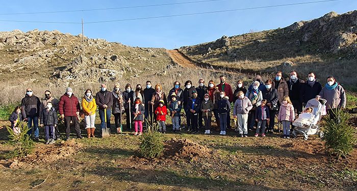 Medio centenar de sanclementinos plantan en el paraje de Rus los abetos entregados por el Ayuntamiento a los establecimientos de San Clemente