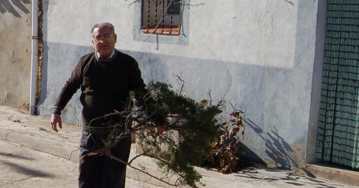 Culebras. El humo protector de las sabinas por San Sebastián