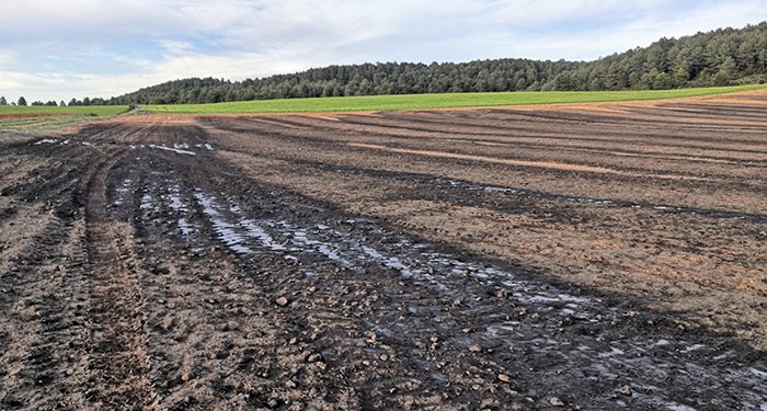 Purines Campillo de Altobuey (Cuenca)