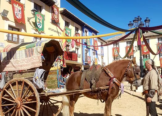 Vuelve la Feria de las Mercaderías de Tendilla los días 25, 26 y 27 de febrero 2022 1 Vuelve la Feria de las Mercaderías de Tendilla 25, 26 y 27 de febrero 2022