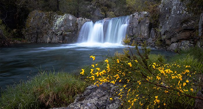 El vídeo “Somos agua” de Fernando Gómez y la colección de imágenes de Jesús Foguer vencen en la IV edición del concurso de Mini Documental y Fotografía “El agua en el espacio MAS”