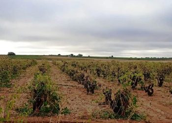 ACEM pide ser parte interesada en la instrucción contra dos empresas por captar agua de manera ilegal en la Manchuela