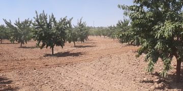 Arranca en Castilla-La Mancha el programa CULTIVA con parada en El Herrumblar