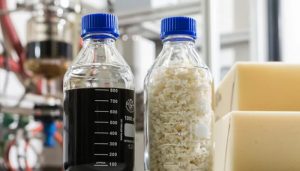 BASF y NEVEON colaboran en el reciclaje de colchones