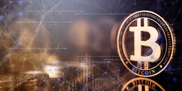 Claves para armar un buen portafolio de criptomonedas