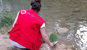 Cruz Roja Cuenca llega a más de 12.000 personas en 2021