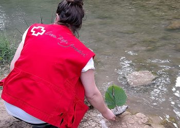 Cruz Roja Cuenca llega a más de 12.000 personas en 2021