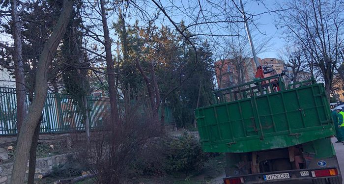 El Ayuntamiento de Cuenca poda varios árboles en el parque de Santa Ana para evitar riesgos de caída de ramas o de los propios árboles 1 El Ayuntamiento de Cuenca poda varios árboles en el parque de Santa Ana para evitar riesgos de caída de ramas o de los propios árboles