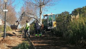 El Ayuntamiento de Villanueva de la Torre inicia el acondicionamiento del parque longitudinal paralelo a la calle Azaleas