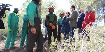 El Gobierno regional aprobará esta primavera una nueva línea de ayudas para la ejecución de tratamientos selvícolas con una inversión en torno a 20 millones de euros