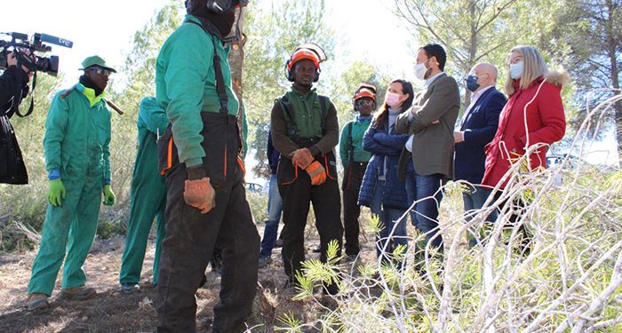 El Gobierno regional aprobará esta primavera una nueva línea de ayudas para la ejecución de tratamientos selvícolas con una inversión en torno a 20 millones de euros 1 El Gobierno regional aprobará esta primavera una nueva línea de ayudas para la ejecución de tratamientos selvícolas con una inversión en torno a 20 millones de euros