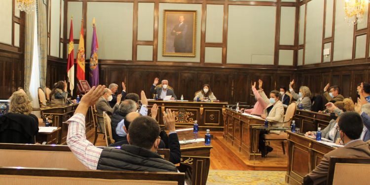 El PP en la Diputación de Guadalajara logra el acuerdo del Pleno para defender los intereses de lavanda en la provincia frente a la modificación de la normativa europea