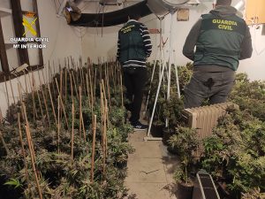 En la comarca de Alarcón van a fumar menos marihuana