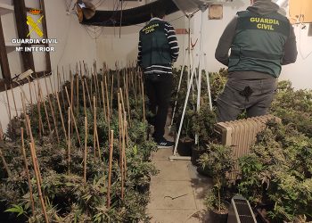 En la comarca de Alarcón van a fumar menos marihuana