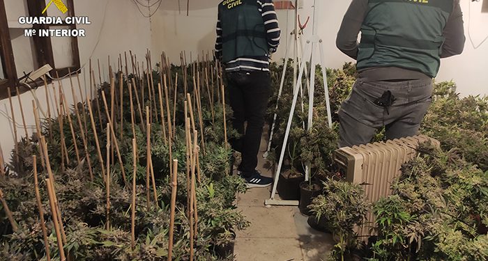En la comarca de Alarcón van a fumar menos marihuana