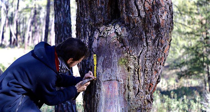 Guadalajara entra en el Grupo Operativo Resinlab con una parcela de experimentación en Cobeta