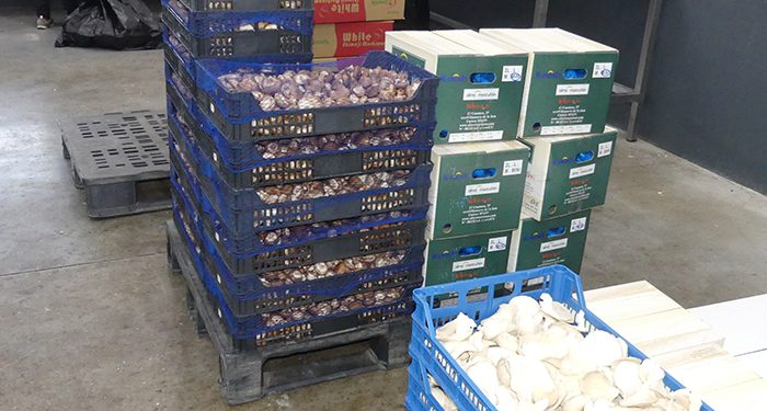 La patronal conquense valora positivamente la política comercial europea como base de las exportaciones