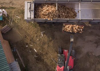 La plataforma vecinal contra la macrogranja de gallinas entre San Clemente y Villarrobledo pide paralizar su tramitación ante la expansión de la epidemia de gripe aviar en España