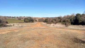 Las Cañadas Reales Ganadería y biodiversidad