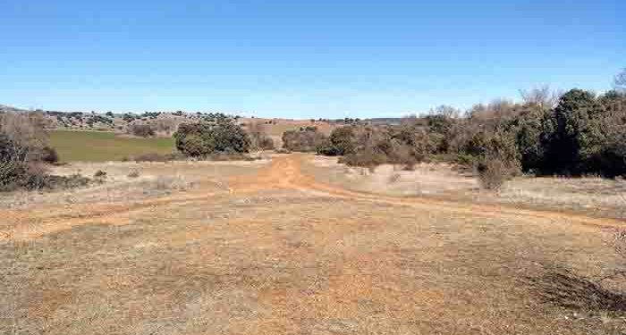 Las Cañadas Reales Ganadería y biodiversidad