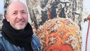 Las naturalezas obstinadas de Juan Solo, hasta el día 28 en el Parque Elena de la Cruz de Cabanillas