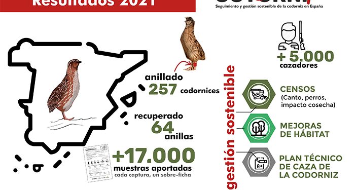 Los cazadores de Castilla-la Mancha aportan más de 650 muestras biológicas de codorniz al Proyecto Coturnix 1 Los cazadores de Castilla-la Mancha aportan más de 650 muestras biológicas de codorniz al Proyecto Coturnix