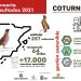 Los cazadores de Castilla-la Mancha aportan más de 650 muestras biológicas de codorniz al Proyecto Coturnix 3 Los cazadores de Castilla-la Mancha aportan más de 650 muestras biológicas de codorniz al Proyecto Coturnix
