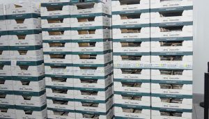 Los productos conquenses siguen de moda en el exterior