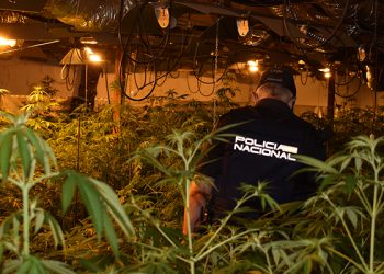 Policía Nacional marihuana
