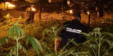 Policía Nacional marihuana