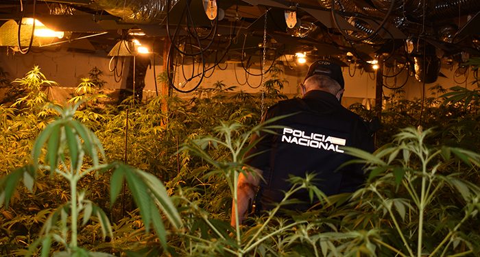 Policía Nacional marihuana