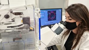Una investigación de la UCLM identifica las proteínas responsables de la muerte neuronal y la inflamación en el alzhéimer