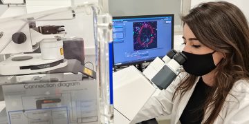 Una investigación de la UCLM identifica las proteínas responsables de la muerte neuronal y la inflamación en el alzhéimer