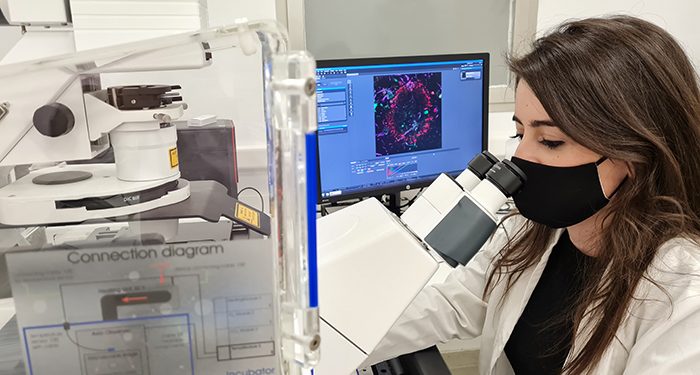 Una investigación de la UCLM identifica las proteínas responsables de la muerte neuronal y la inflamación en el alzhéimer 1 Una investigación de la UCLM identifica las proteínas responsables de la muerte neuronal y la inflamación en el alzhéimer